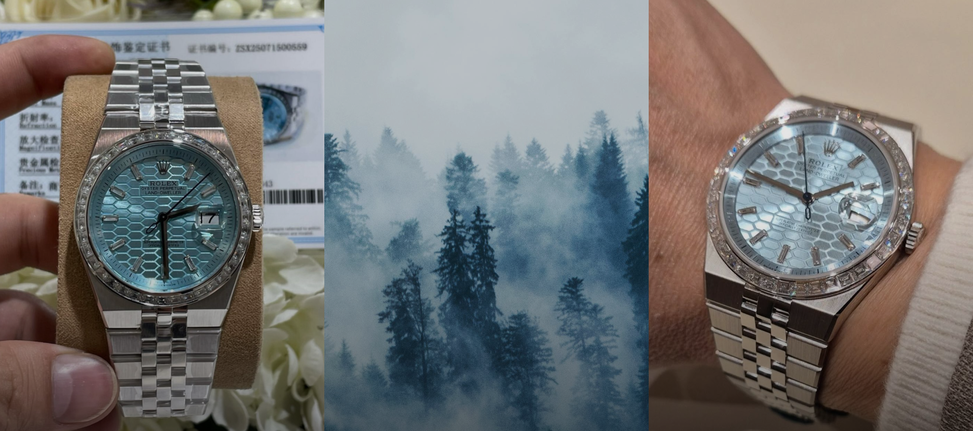 Crafted With Precision, Powered by Motion